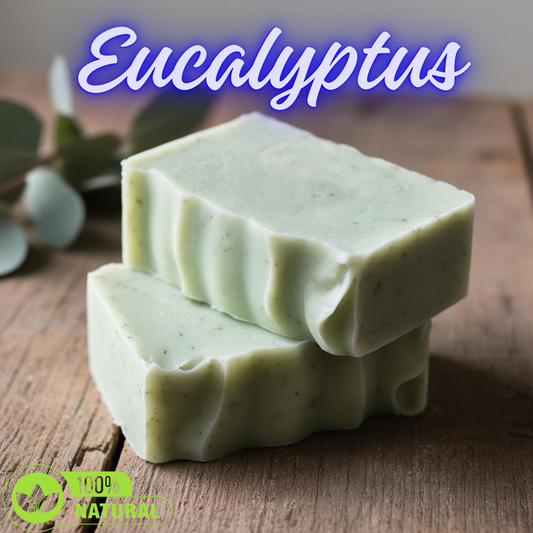 Eucalyptus Hemp and Tea Tree Soap